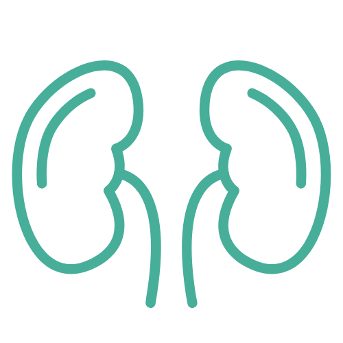 Laser Treatment of Kidney Stones
