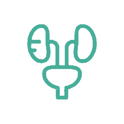Laser Prostate Surgery